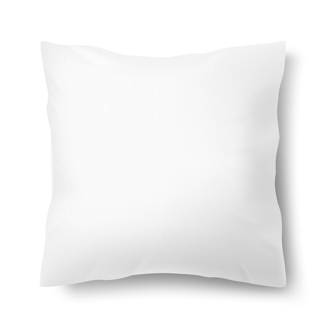 pillow_2aa93b69-4970-43bc-adc8-1c079738aa05.jpg